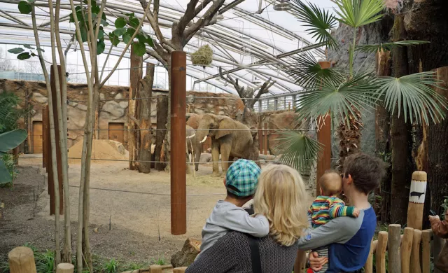 Afrikahaus Zoo in Dresden